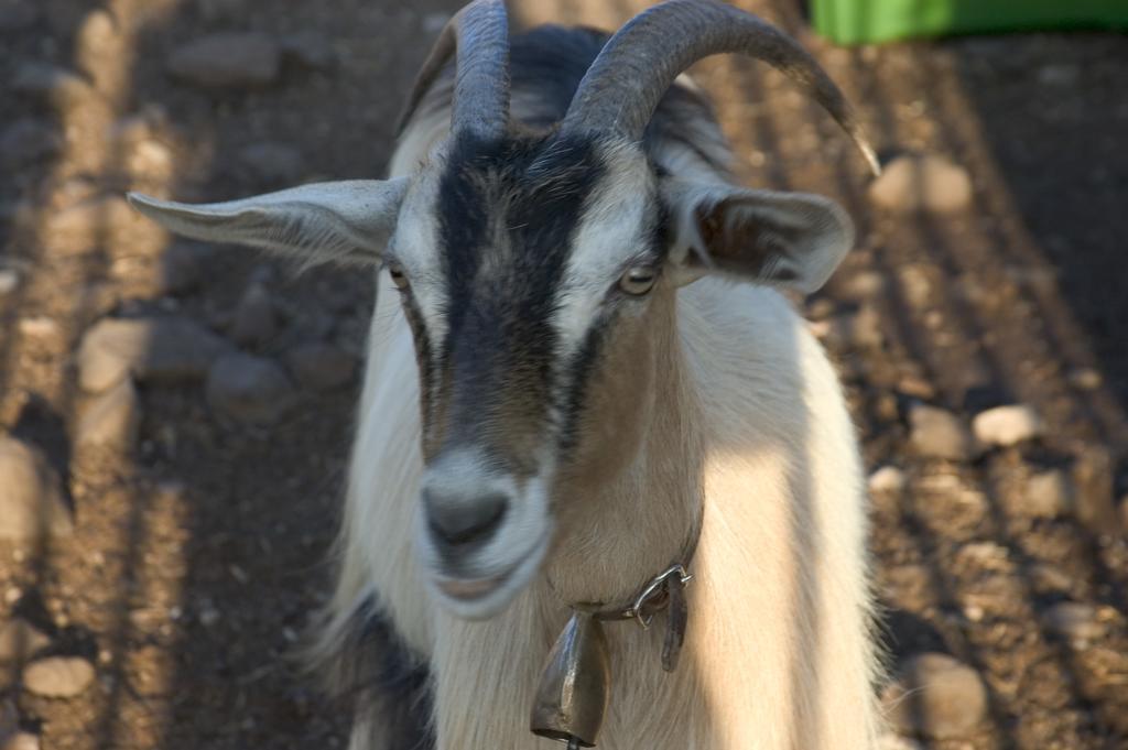 Agroturismo Codula Fuili
