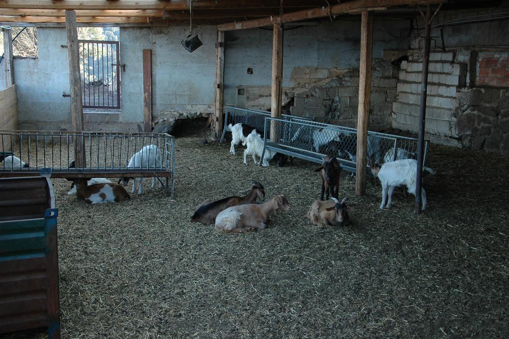 Codula Fuili Agroturismo